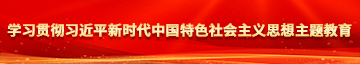 女生操屄App学习贯彻习近平新时代中国特色社会主义思想主题教育